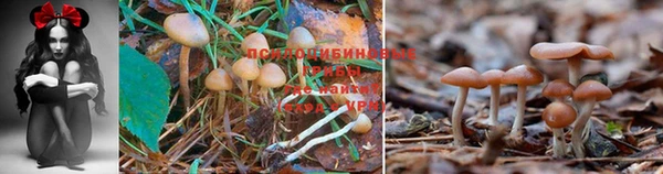 бутират Нея