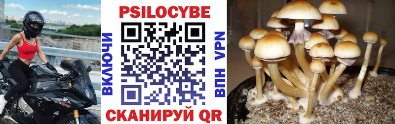 Псилоцибиновые грибы Magic Shrooms  Салават 