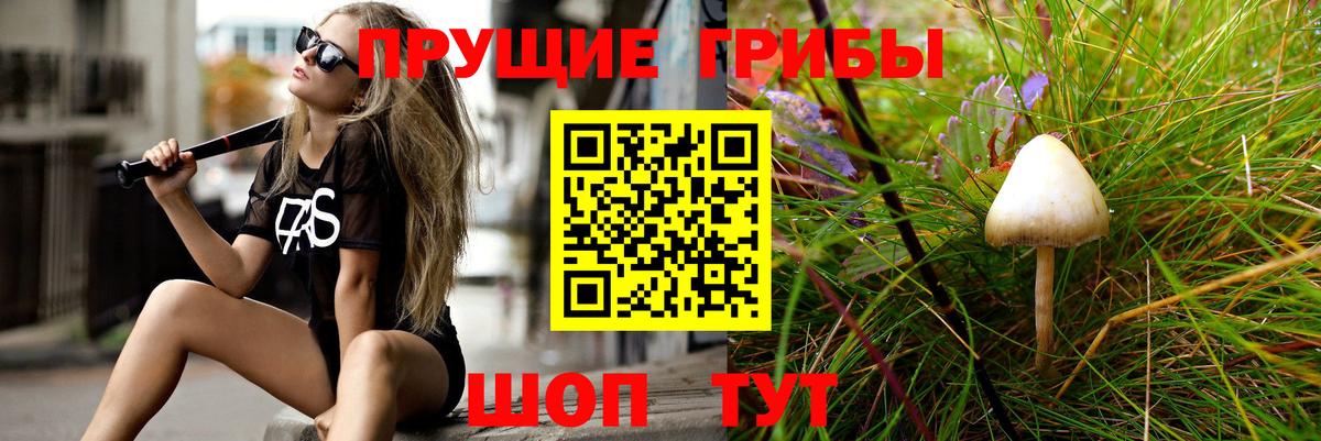 Псилоцибиновые грибы мухоморы Салават