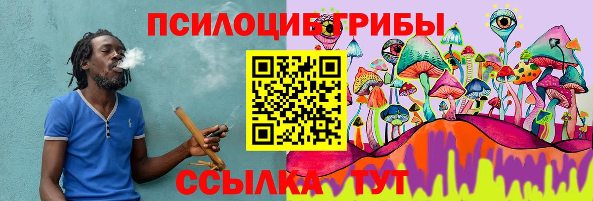 Галлюциногенные грибы Psilocybe  Галлюциногенные грибы Cubensis  Вход с VPN  сколько стоит  Салават 
